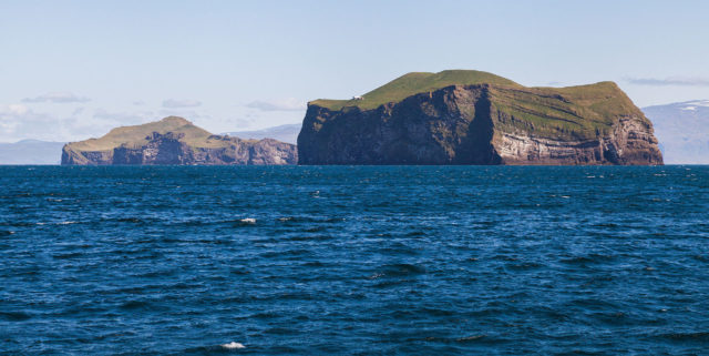 Elliðaey (left) and Bjarnarey (right). Photo by Diego Delso CC BY-SA 4.0