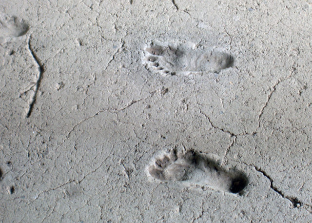 A set of 2,100-year-old human footprints preserved in volcanic mud near the lake in Managua, Nicaragua. Author: Dr d12 CC BY-SA 3.0