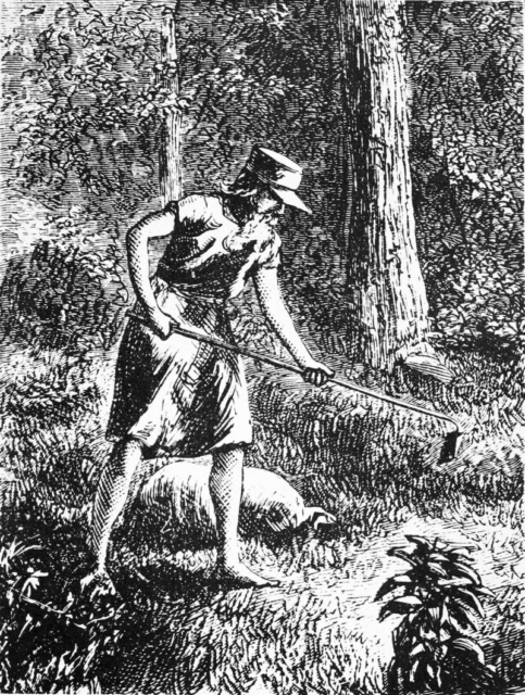 Johnny Appleseed, Harper’s New Monthly Magazine, 1871