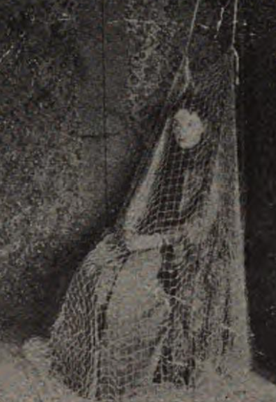 Covered in a net, as a control in an experiment
