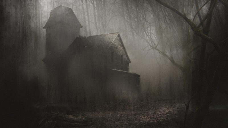 A haunted house sits in the middle of a creepy dark forest.