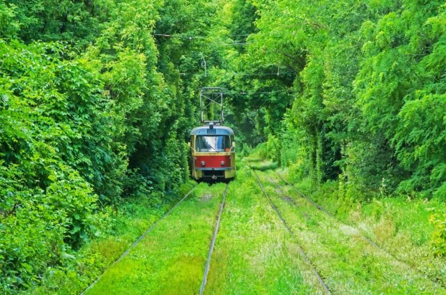 Train running in Natural tunnel