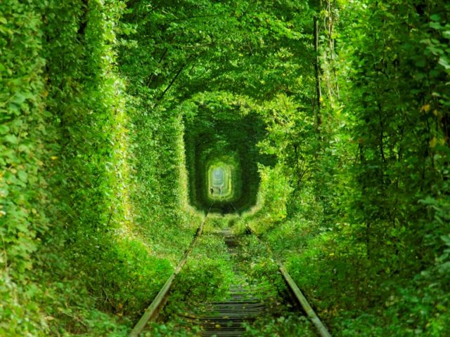 Fantastic Real Tunnel of Love