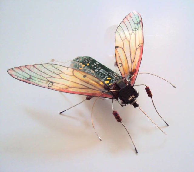 Winged insect sculpture made from recycled electronics. Author: Julie Alice Chappell