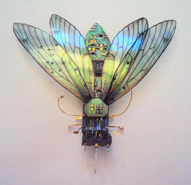 Winged insect sculpture made from recycled electronics. Author: Julie Alice Chappell