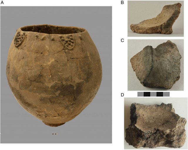 (A) Early Neolithic jar (B)Jar base interior C Jar Base exterior D jar base interiorPhotographs by Mindia Jalabadze and courtesy of the National Museum of Georgia.