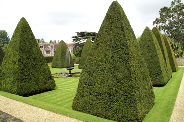 Great Court, Athelhampton House. There are a total of twelve yew trees cut into the shape of a pyramid, a task that the owner Patrick Cooke has personally carried out annually since he was 14. This view is from the terrace. Author: John Lamper. CC BY-SA 2.0