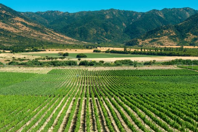 Colchagua Valley