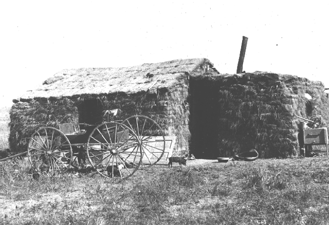 Those settlers that claimed a homestead in forested areas built their cabins and barns from wood.