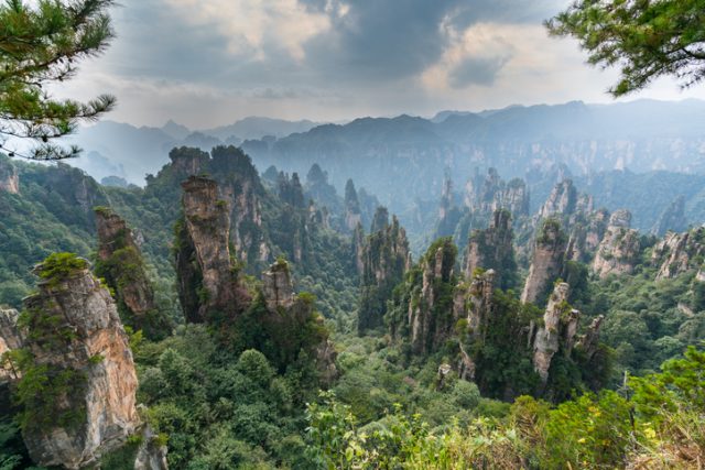 Mountains in Zhangjiajie National Park