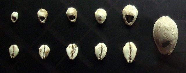 Chinese shell money, 16-18th century BCE. Author: PHGCOM CC BY-SA 3.0