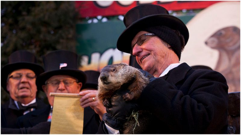 Groundhog Day 2013 in Punxsutawney featuring Phil . Photo Credit: Anthony Quintano CC BY 2.0