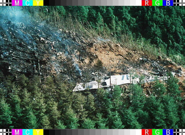 Aerial view of the Japan Air Lines Flight 123 crash site