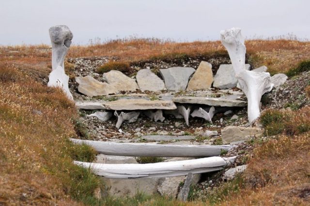 Whalebone used in the building of an ancient Thule home. Photo Timkal – CC BY-SA 3.0