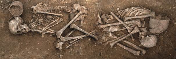 A double ‘Beaker’ grave excavated at Trumpington Meadows, Image credit: Dave Webb, Cambridge Archaeological Unit