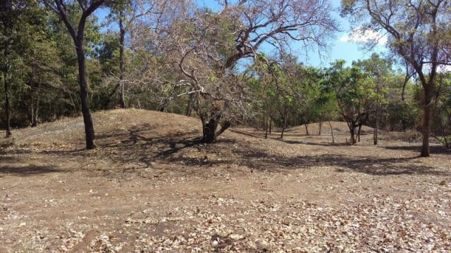 One of the many mounds in the region. Image Source Virtus Heritage