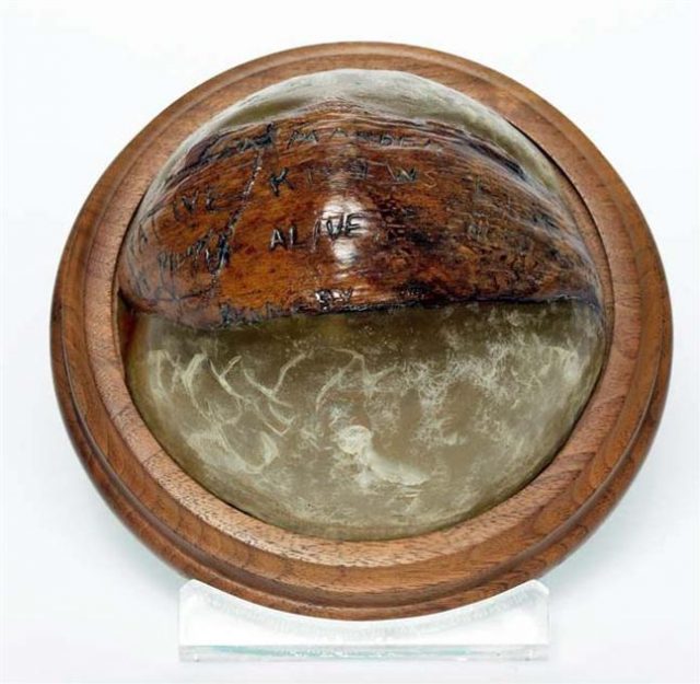 Shell Paperweight – Original coconut on which the rescue message was inscribed by Kennedy to rescue the crew of the PT-109 and delivered by natives, Biuku Gasa and Eroni Kumana, of the Solomon Islands.
