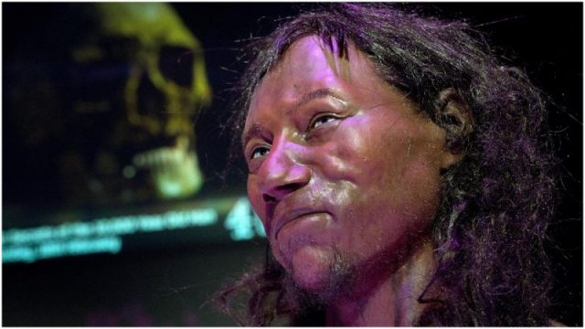 A full face reconstruction of the 10,000-year-old ‘Cheddar Man’, pictured at the National History Museum in London on February 6, 2018. Photo by JUSTIN TALLIS/AFP/Getty Images