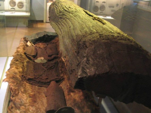 The coffin and remains of the Egtved Girl.