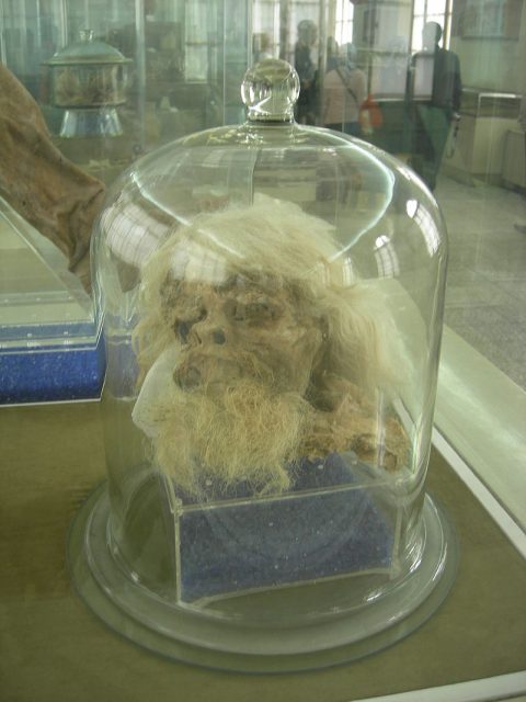 Head of Salt Man 1 on display at Iran Bastan Museum. One of the Saltmen found in 1994 in Douzlākh salt mines near Chehrābād, located on the southern part of the Hamzehlu village, on the west side of the city of Zanjan, Zanjan Province in Iran.