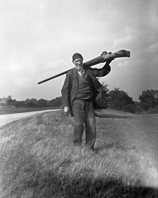 Punt guns, like this from the US, had been used to hunt birds but were eventually made illegal.