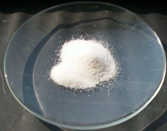 White powder on a glass disk.