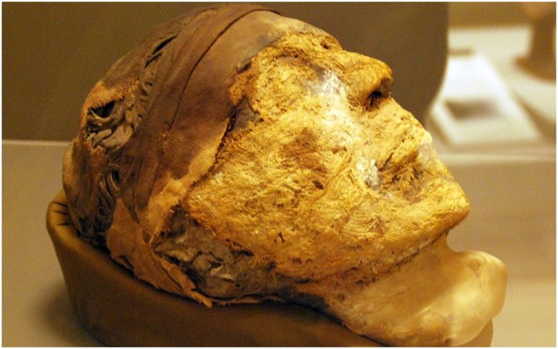 Head of the Mummy of Djehutynakht. Photo: Marcus Cyron - CC BY 3.0