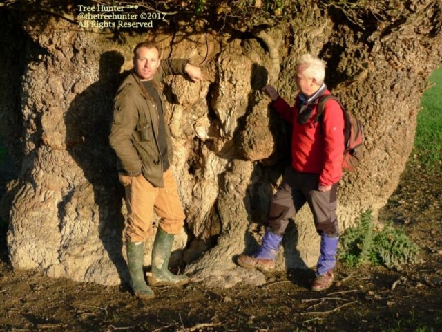 Standing beside the Buttington Oak. The Tree Hunter Rob McBride filming with Andrew Price for ITV Coast & Country. Photo by: thetreehunter