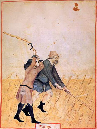 Pockets hang from belts as 15th-century peasants thresh siligo wheat in a Tacuinum Sanitatis