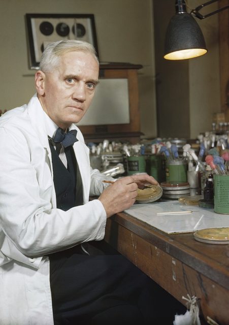 Synthetic Production of Penicillin Professor Alexander Fleming, holder of the Chair of Bacteriology at London University, who first discovered the mould Penicillin Notatum. Here in his laboratory at St Mary’s, Paddington, London.