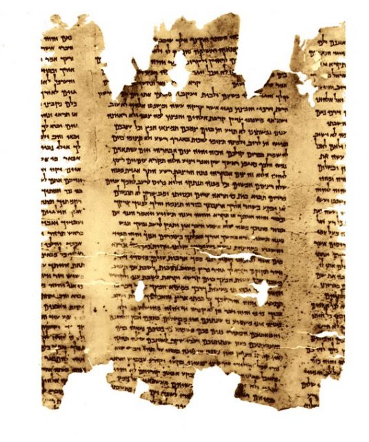 A portion of the second discovered copy of the Isaiah scroll, 1QIsab.