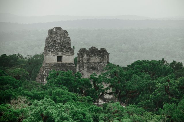 Tikal City in the middle of the jungle.