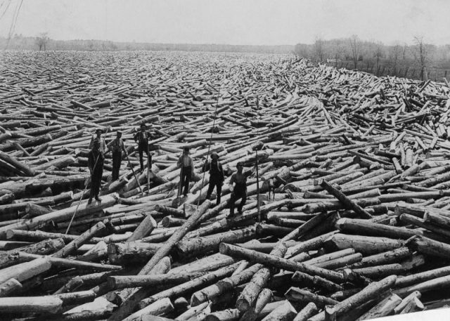 It’s hard to believe that there’s water underneath the thousands of logs. New York, 1907.