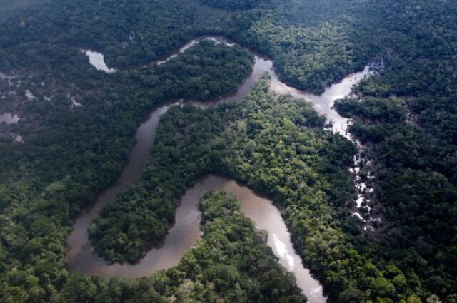 Aerial view of the Amazon Rainforest