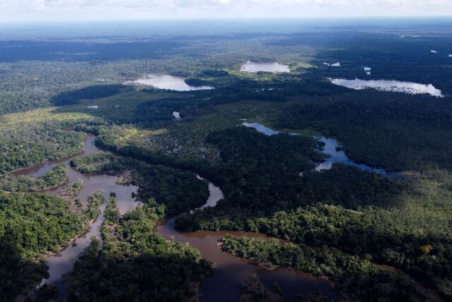 Aerial view of the Amazon Rainforest