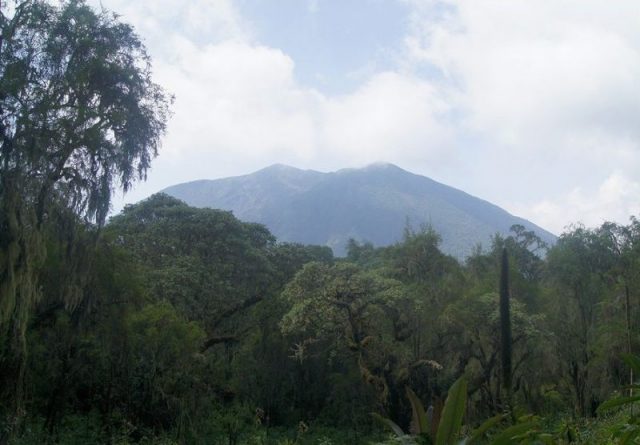Fossey established her research camp on the foothills of Mount Bisoke. Photo by Nickolayvladim CC BY SA 3.0