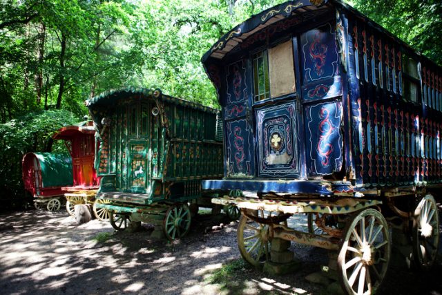 Traditional Romani caravans parked in the woods.