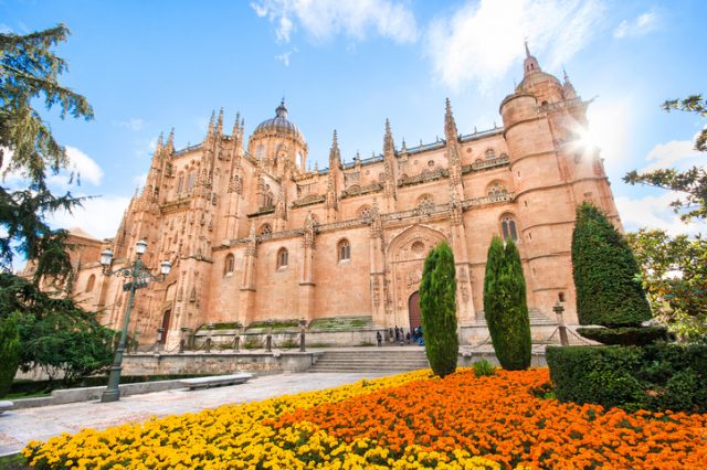 Beautiful view of Cathedral of Salamanca, Castilla y Leon region, Spain