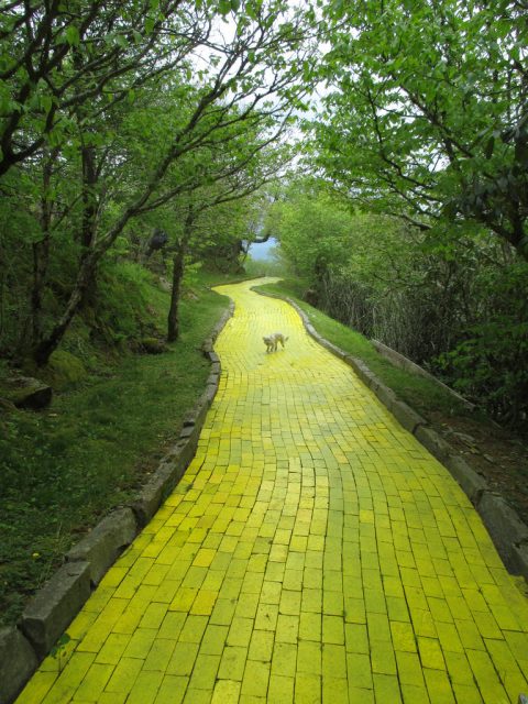 Land of Oz.Photo by bambithepig CC BY 2.0.
