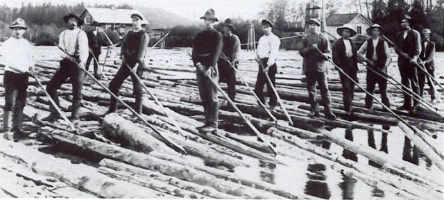 Photos: The Golden Age of Lumberjacks and Giant Redwoods they Battled ...