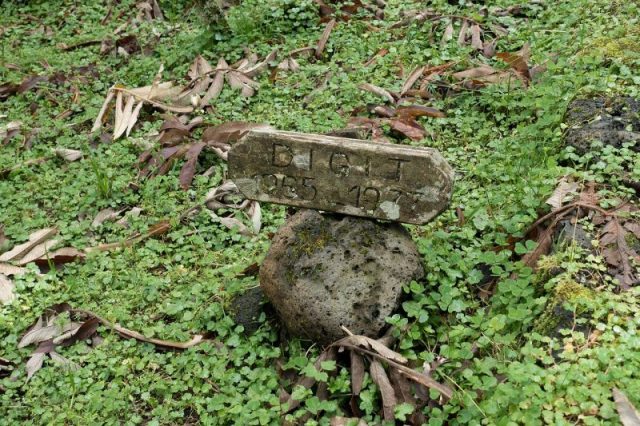 The grave of Digit, who was killed by poachers. Photo by Fanny Schertzer CC BY 3.0