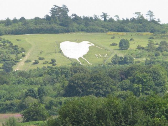 The Bulford Kiwi, August 2013. Photo by Jonathanjosh1 CC BY SA 4.0