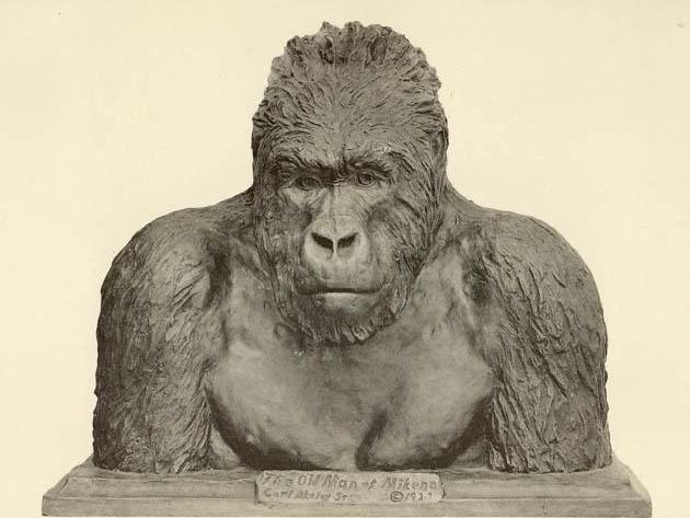 The Old Man of Mikeno, bronze bust of a mountain gorilla by Carl Akeley