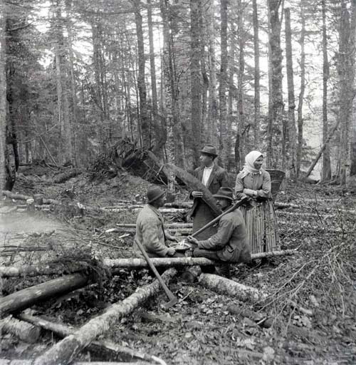 Woodcutters (Bohemian Forest)