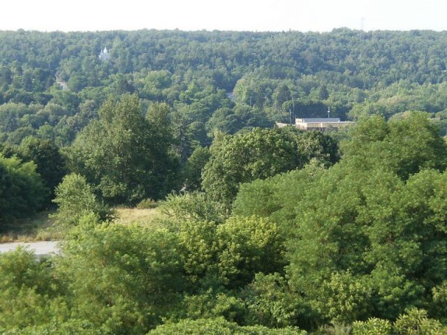 Centralia as seen from South Street, July 2010.