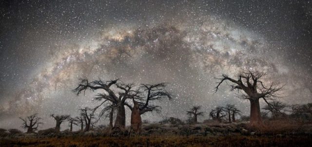 Andromeda. Photo by Beth Moon Photography