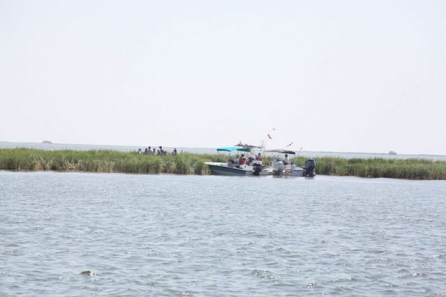 Barataria Bay, Gulf of Mexico.