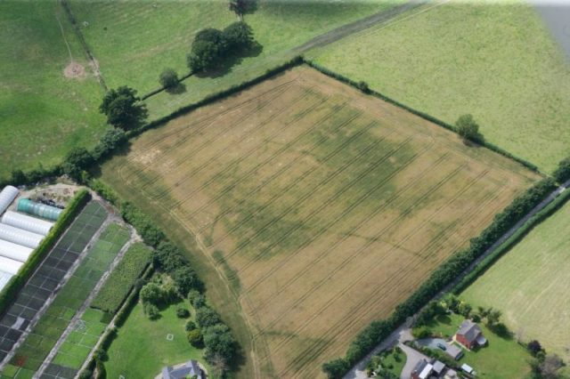 Domgay Lane linear cropmarks. Photo by Royal Commission on the Ancient and Historical Monuments of Wales (RCAHMW)