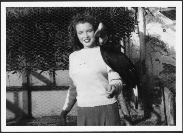 Norma Jeane Baker, with a hornbill on her arm, c.1941.