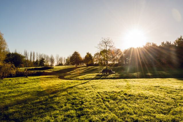 Morning sun in autumn shining over Campbell Park, Milton Keynes.